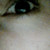 :iconbersecherspies: