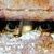 :iconberserkflower: