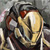 :iconberserking: