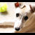 :iconbes-s: