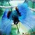 bestartofmylife :iconbestartofmylife: