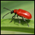:iconbestioles: