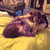 :iconbestkellyintheworld: