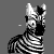 :iconbestofcookies: