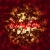:iconbetamax2:
