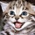 :iconbethanybell: