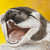 :iconbethdavies: