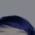 :iconbethlim: