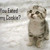 :iconbethliza123: