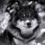:iconbettaman8: