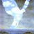 :iconbettytheseagull: