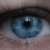 :iconbeturtlement: