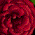 :iconbeverlysrose: