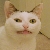 :iconbeware-of-pie: