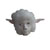 :iconbewitching13: