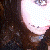 :iconbexmyxdog: