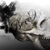 :iconbexxx8793:
