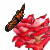 :iconbeyond-the-blondness: