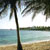 :iconbeyondhorizons: