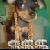 :iconbeyondlife007: