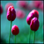 :iconbeyondthis: