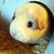:iconbeyondxthexeyes: