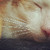 :iconbeziehunqsweise: