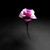 :iconbhabal:
