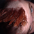 :iconbiacksails: