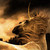 :iconbianca-cavallo: