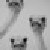 :iconbianca-vernes: