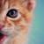 :iconbiancabloom: