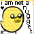 :iconbibbitrox281: