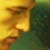 :iconbiberfreund: