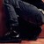 :iconbibi0931: