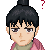 :iconbibis-pixels:
