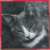 :iconbicpenmaster: