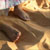 :iconbidwiya: