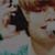 :iconbieberfeverfanforce: