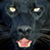 :iconbig-girlii: