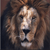 :iconbigarky: