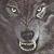 :iconbigbad-wolf-5: