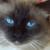 BigBadLalla :iconbigbadlalla: