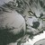 :iconbigbadwullf: