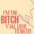 :iconbigbrownxjet: