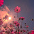:iconbigcitydreamerxx3: