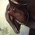 :iconbigcman321: