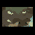 :iconbigdumbyak: