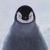 :iconBiggielit: