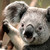 :iconbiggiewiggie123: